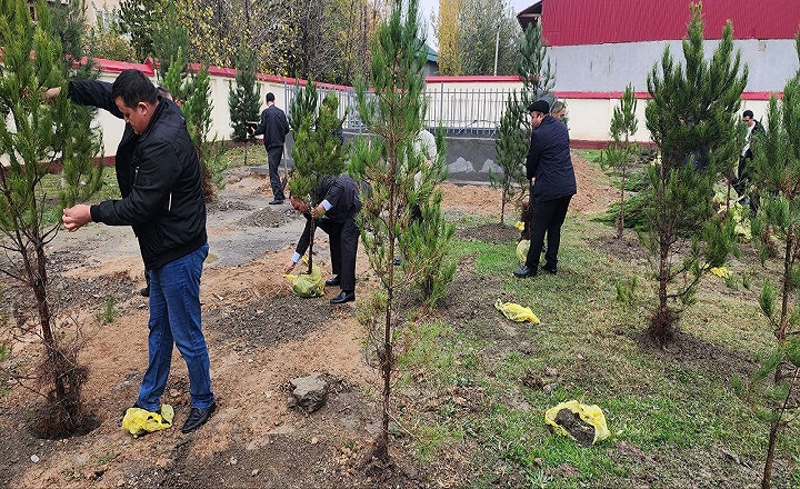 Samarqand Shahar Maktabgacha Va Maktab Ta’Limi Bo‘Limi Tashabbusi Bilan Tashkil Etilgan Bog‘Ga Shunday Nom Berildi.