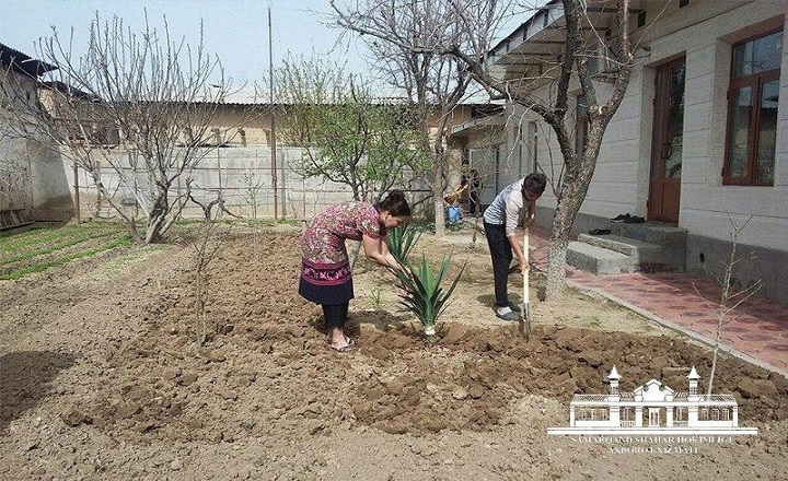 Tomorqasini Qarovsiz Qoldirgan Xonadon Egalari Uch Karra Yuqori Soliq To‘Laydi